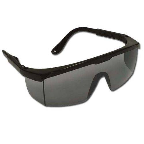 Óculos de Proteção Fenix Cinza | Danny Ca 9722
