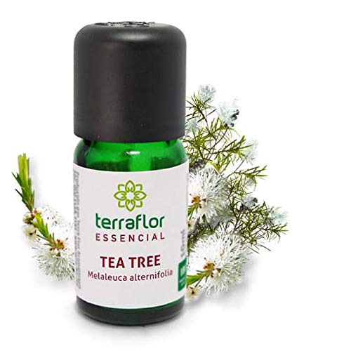 Óleo Essencial de Tea Tree Melaleuca Terra Flor 10ml