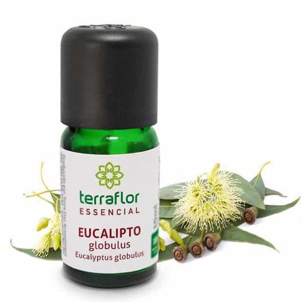 Óleo Essencial Natural de Eucalipto Glóbulos 10ml Terra Flor