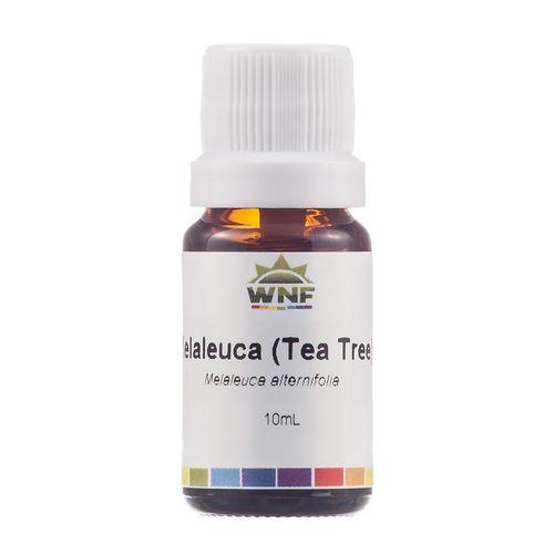 Óleo Essencial Natural de Melaleuca (Tea Tree) 10ml – WNF