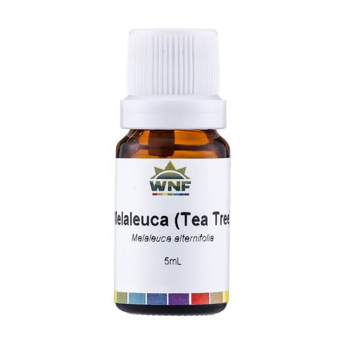 Óleo Essencial Natural de Melaleuca (Tea Tree) 5ml – WNF