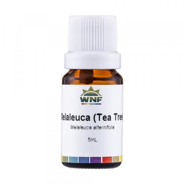 Óleo Essencial Natural de Melaleuca (Tea Tree) 5ml WNF