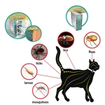 Óleo Essencial Pet Dog Cat Collar Gatinho Anti Flea Tick Repelente De Piolhos Proteção