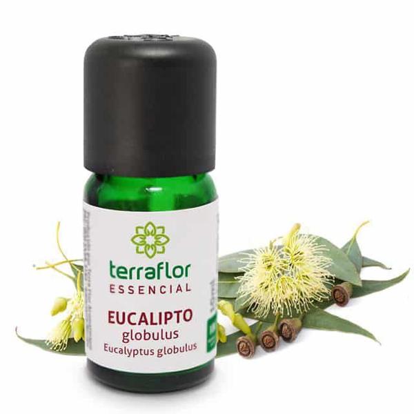 Óleo Essencial Terra Flor de Eucalipto Globulus 10ml