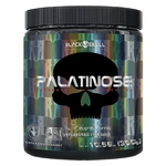 Palatinose - 300g