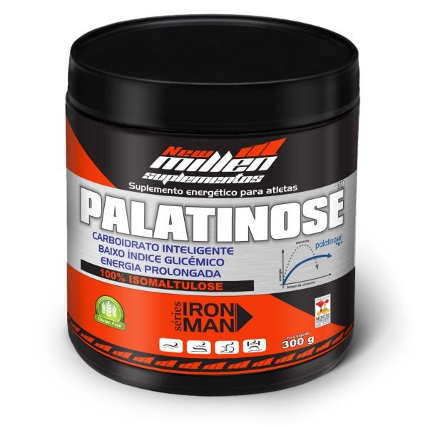 Palatinose 300gr - New Millen