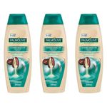 Palmolive Naturals Cuidado Absoluto Shampoo 350ml (kit C/03)