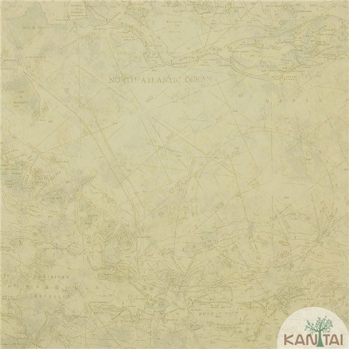 Papel de Parede Beauty Wall Mapa-Padronagens - Gf73204 (Vinilico, 10x0,53)