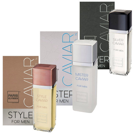 Paris Elysees Kit Perfume - Mister + Silver + Style Caviar