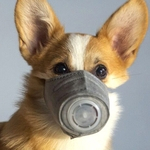 3pcs Pet M¨¢scara Anti-Fog e Haze M¨¢scara de Prote??o Dustproof Dog cobrir a boca
