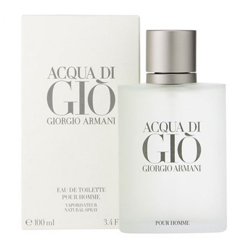 Perfume Acqua Di Gio Homme Eau de Toilette 100 Ml