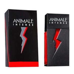 Perfume Animale Intense Masculino Eau de Toilette - Animale - 100 Ml