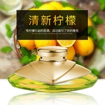 Perfume carro Fragrância Ambientador Óleos essenciais Difusor Automóveis Ornamentos