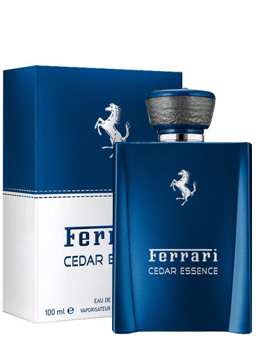 Perfume Cedar Essence - Scuderia Ferrari - Masculino - Eau de Parfum (100 ML)