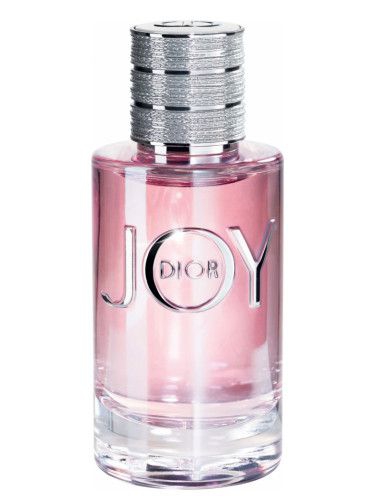 Perfume Christian Dior Joy BY Dior Eau de Parfum Feminino 90ML