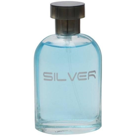Perfume Christine Darvin Masculino Silver Edt100ml