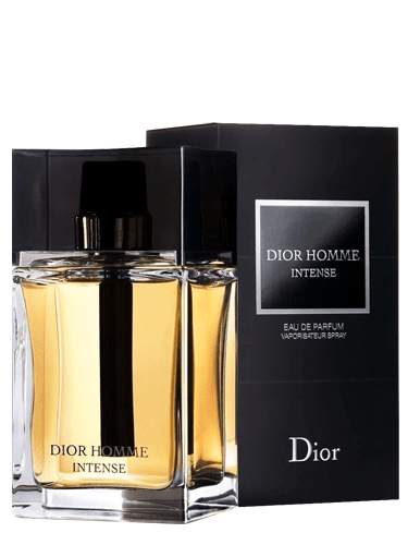 Perfume Dior Homme Intense - Dior - Masculino - Eau de Parfum (50 ML)