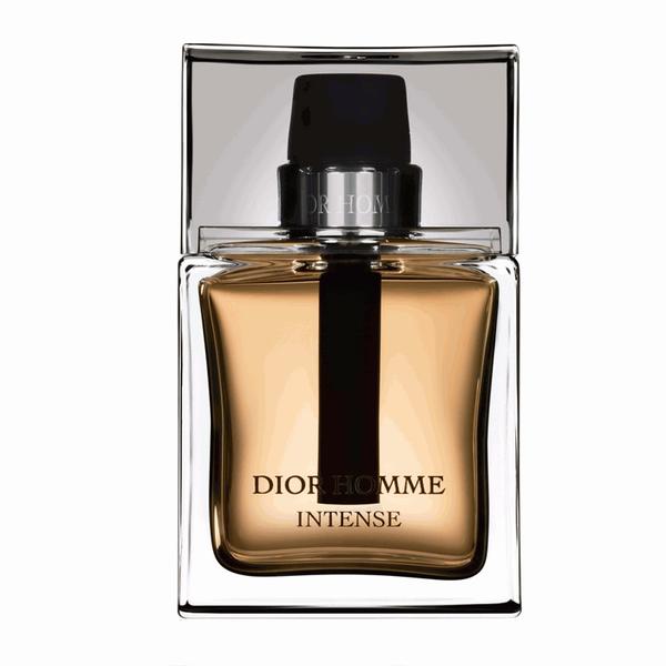 Perfume Dior Homme Intense Masculino - Eau de Parfum-100ml - Dior
