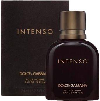 Perfume Dolce Gabbana Intenso Homme Edp Vapo 75 Ml