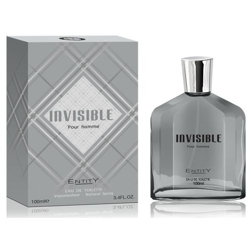 Perfume Entity Invisible Masculino Eau de Toilette 100ml
