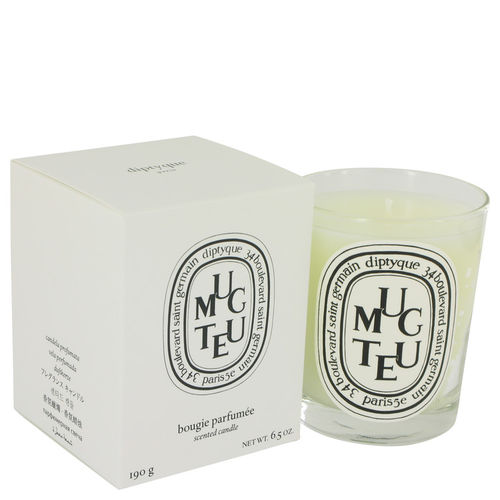 Perfume Feminino Diptyque Lily Of The Valley 190g Scented Candle