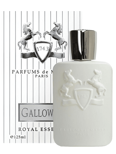 Perfume Galloway - Parfums de Marly - Masculino - Eau de Parfum (125 ML)