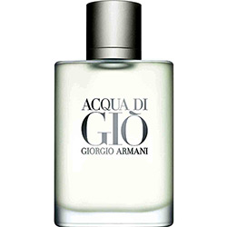 Perfume Giorgio Armani Acqua di Gió Masculino Eau De Toilette 100ml