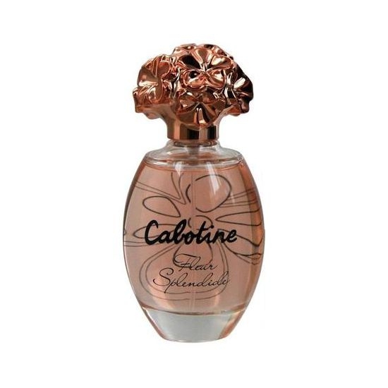 Perfume Gres Cabotine Fleur Splendide EDT 100