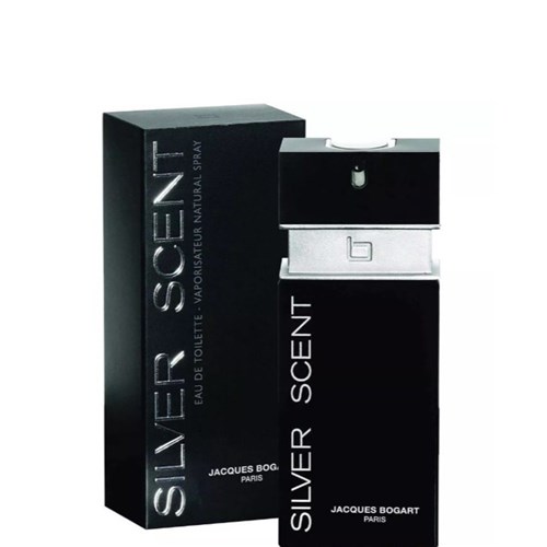 Perfume Masc Silver Scent 100 Ml