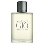 Perfume Masculino Acqua Di Giò Pour Homme Giorgio Armani Eau de Toilette 100ml