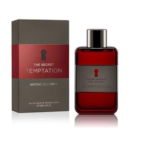 Perfume Masculino Antonio Banderas Secret Temptation 100ml