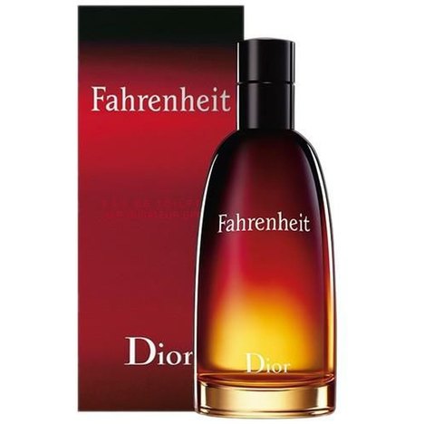 Perfume Masculino Dior Fahrenheit 100Ml Edt