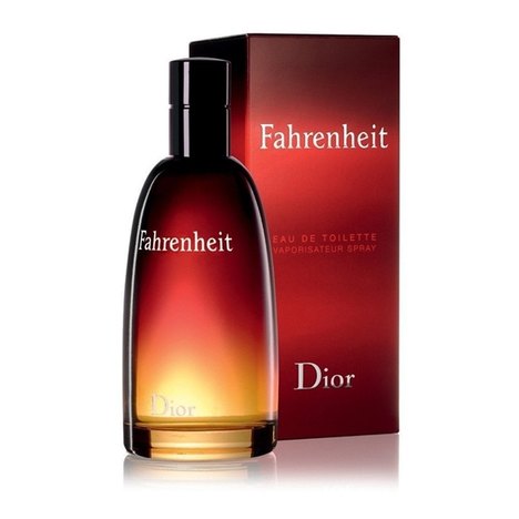 Perfume Masculino Dior Fahrenheit 50Ml Edt