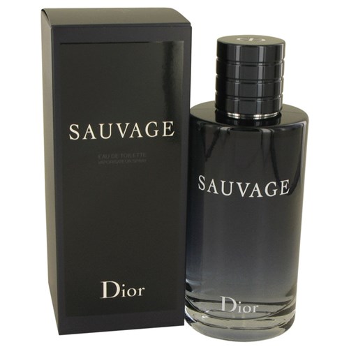 Perfume Masculino Sauvage Christian Dior 200 Ml Eau de Toilette