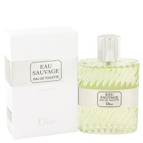 Perfume Masculino Sauvage Christian Dior 100 Ml Eau de Toilette
