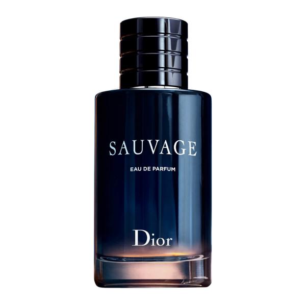 Perfume Masculino Sauvage Dior Eau de Parfum 100ml