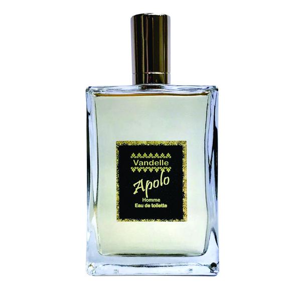 Perfume Masculino Vandelle - Apolo - 100 Ml