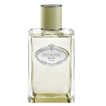 Perfume Prada Les Infusion Vetiver Unissex Edp 100Ml