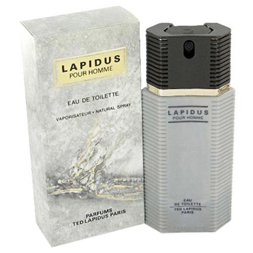 Perfume Ted Lapidus Edt Masculino - 100Ml