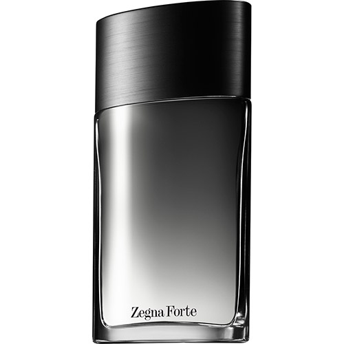 Perfume Zegna Forte Eau de Toilette Ermenegildo Zegna 100ml Masculino