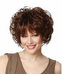 Natural Hair Wig Wig Short Hair Big Curly Hairpieces Short Curls Synthetic Hair Replacement Wigs Afro Kinky Wigs for Women