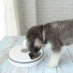 Pet Alimentador Automático de Six-Hole sincronismo inteligente Dispenser Food com Reminder Música para Gatos Cão