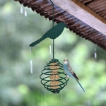 Pet Bird Papagaio Pendurado Alimentos Bola Alimentador Recipiente Jardim árvore Suporte De Alimentação