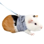 Pet Hamster Traction Strap Outdoor Training algodão macio Roupa Corda para Hamster Guinea Pig