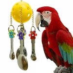 Pet p¨¢ssaro do papagaio balan?o de a?o inoxid¨¢vel Colheres mordida Toy Para Periquito Cockatiel