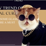Pet Shop ¨®culos Durable Grooming C?es Sunglasses Cool Cat