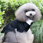Pet Smoking Animais de estimação vestido de noiva elegante e bonito terno preto