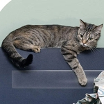 Pet Sofá Proteger Tape Cat anti-risco Training Film etiqueta
