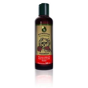 PetLab Extractos - Shampoo para Cães com Pelos Escuros - Henna - 300 Ml