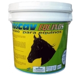 Phoscav Equinos Núcleo Mineral e Vitamínico Para Cavalos 10 Kg